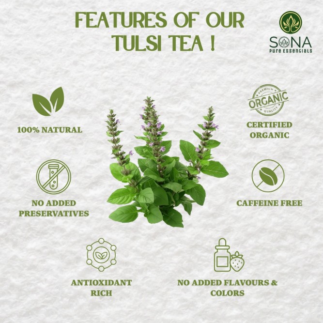 Tulsi Tea