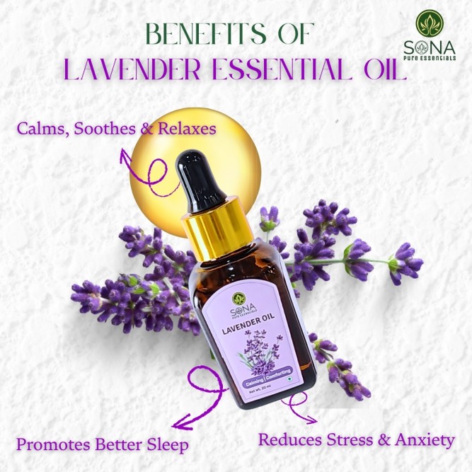 Lavender Oil