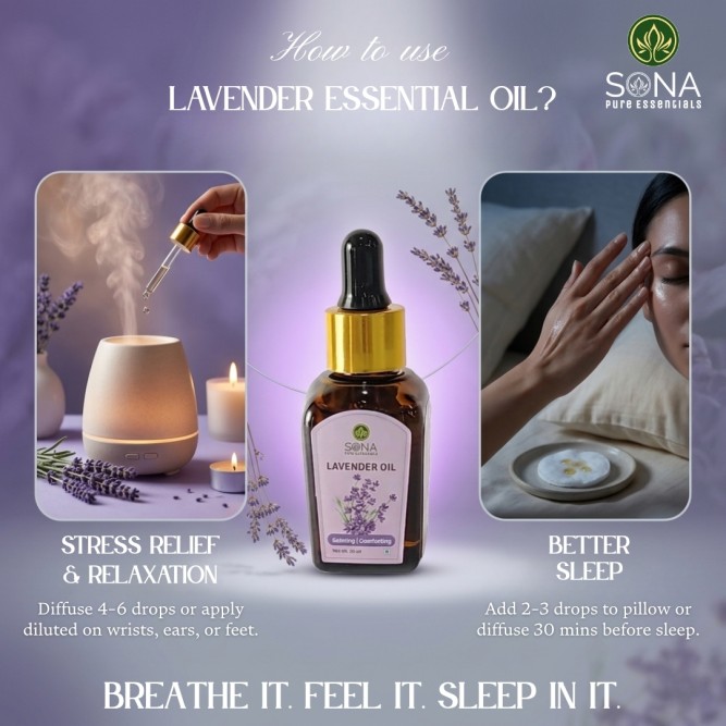 Lavender Oil