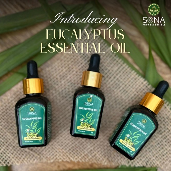 Eucalyptus Globulous Oil