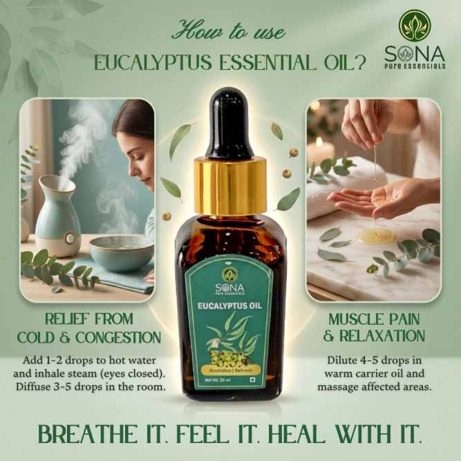 Eucalyptus Globulous Oil
